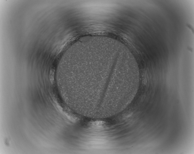 X0000102290695200808151953