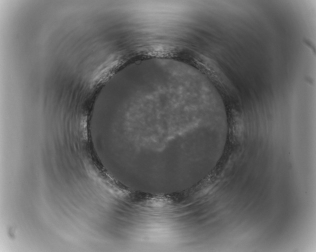 X0000102290696200808151953