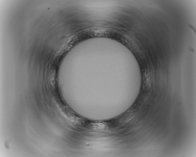 X0000102290698200808151953