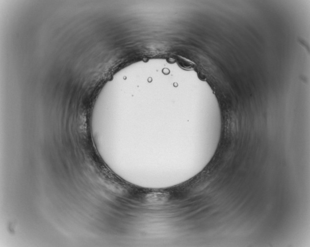 X0000102290700200808151953