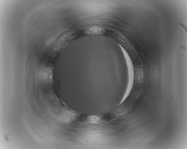 X0000102290701200808151953