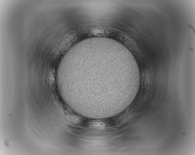 X0000102290702200808151953