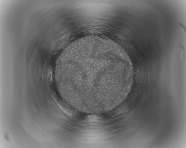 X0000102290703200808151953