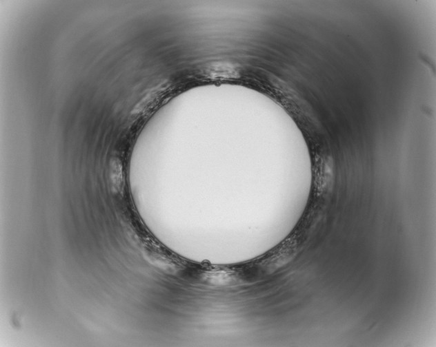 X0000102290704200808151953