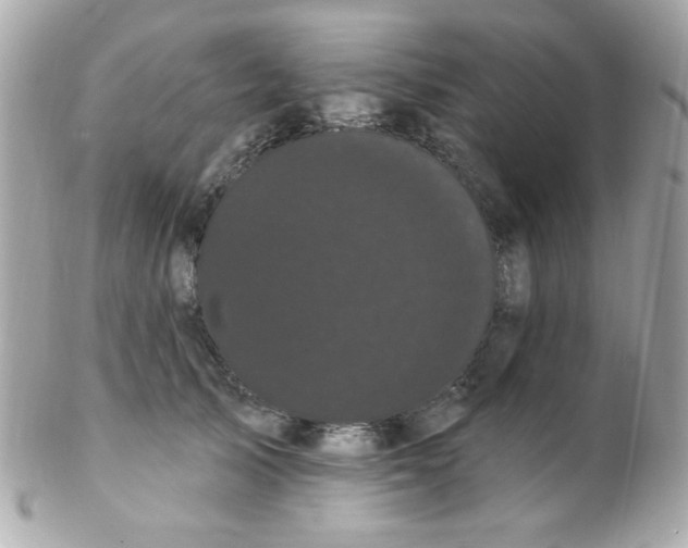 X0000102290705200808151953