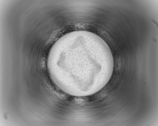 X0000102290706200808151953