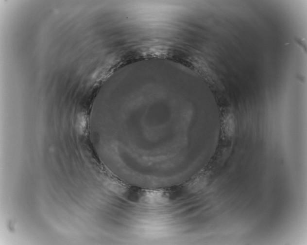 X0000102290709200808151953