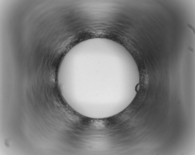 X0000102290710200808151953