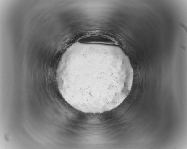 X0000102290711200808151953