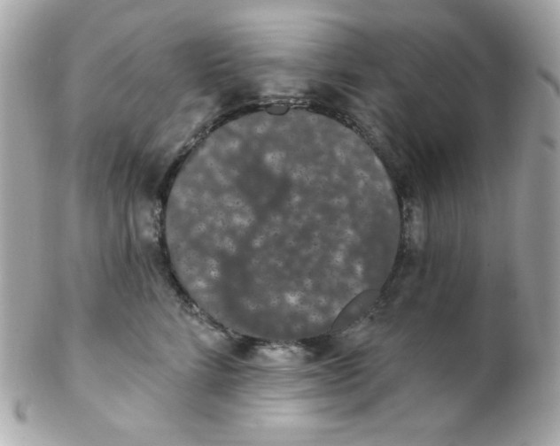 X0000102290712200808151953