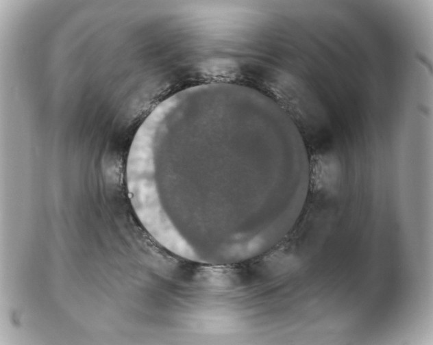 X0000102290713200808151953