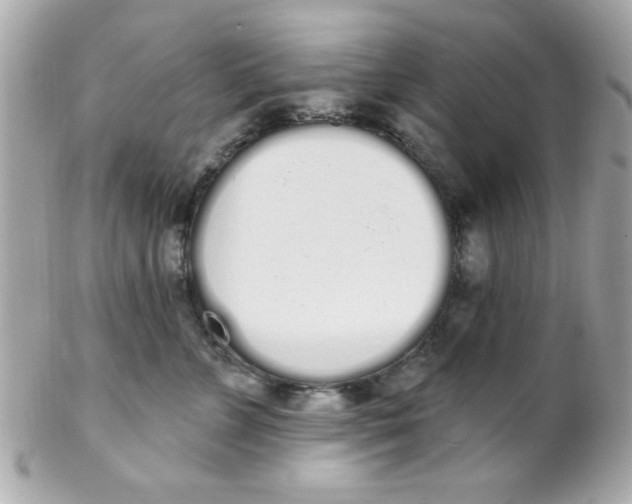 X0000102290715200808151953