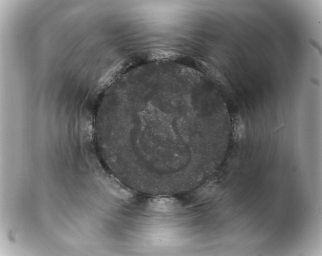 X0000102290716200808151953