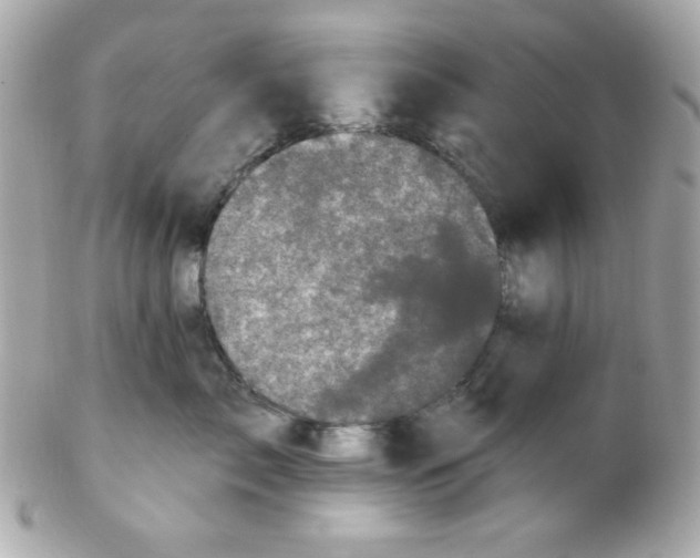 X0000102290717200808151953