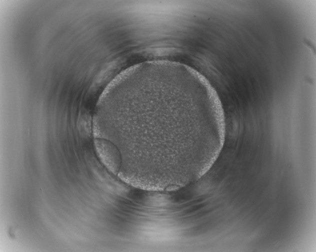 X0000102290718200808151953