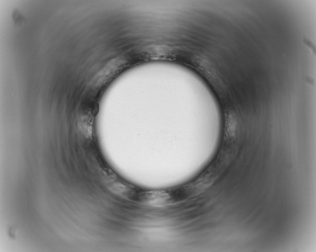 X0000102290719200808151953