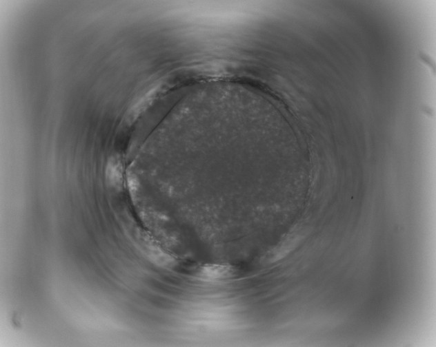 X0000102290720200808151953