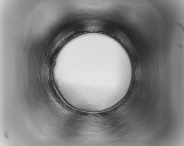 X0000102290722200808151952