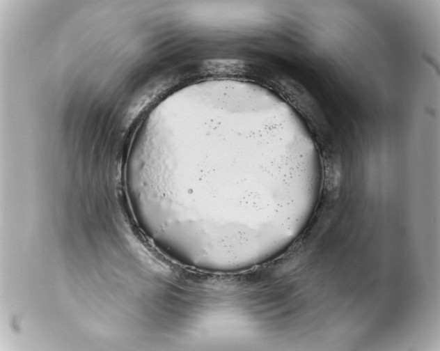 X0000102290725200808151952