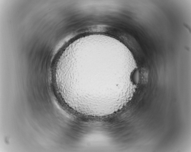 X0000102290726200808151952