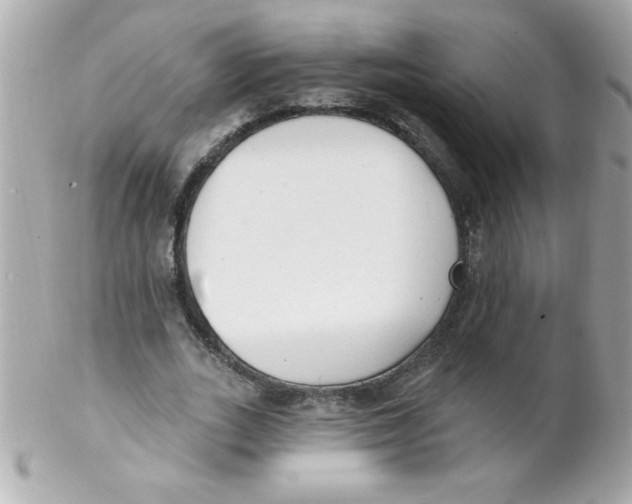 X0000102290727200808151952