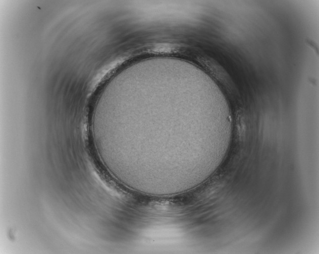 X0000102290728200808151952