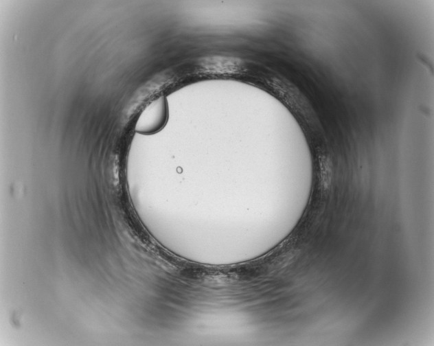 X0000102290731200808151952