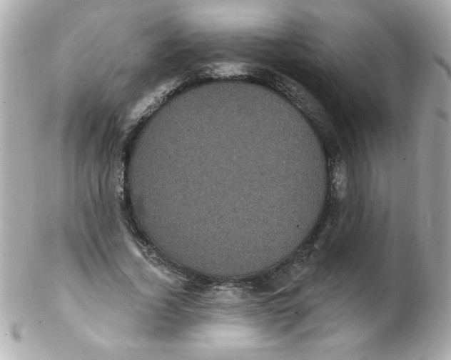 X0000102290732200808151952