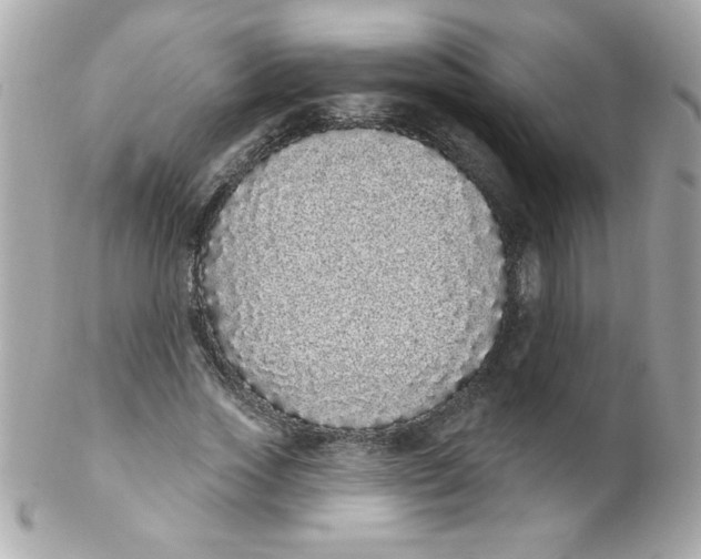 X0000102290733200808151952