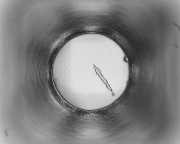 X0000102290734200808151952