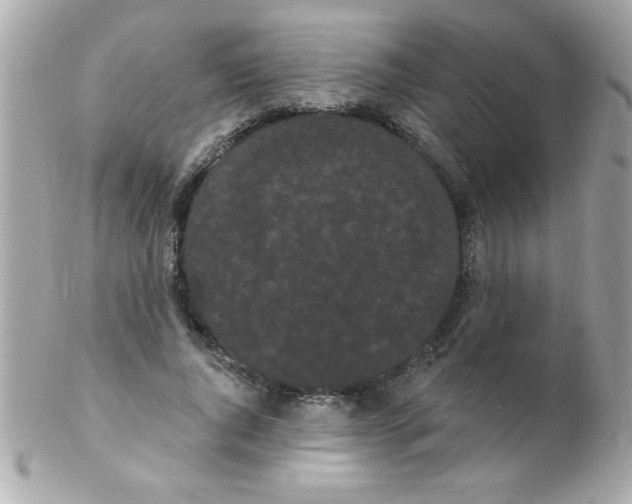 X0000102290736200808151952