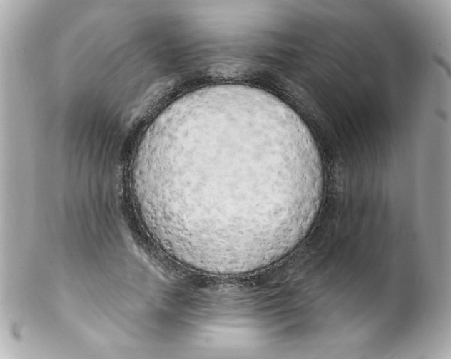 X0000102290738200808151952