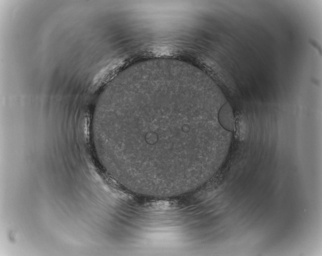 X0000102290740200808151952