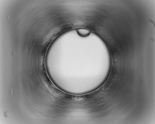 X0000102290742200808151952