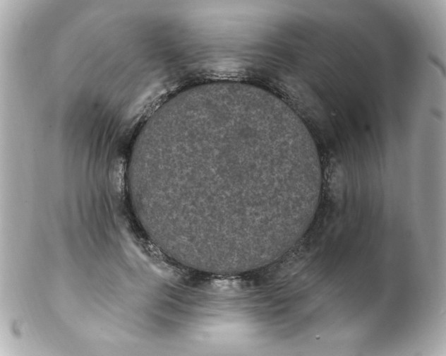 X0000102290744200808151952