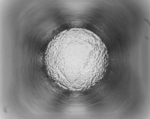 X0000102290745200808151953