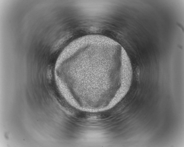 X0000102290746200808151953