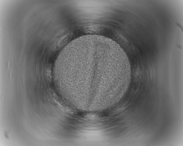 X0000102290749200808151953