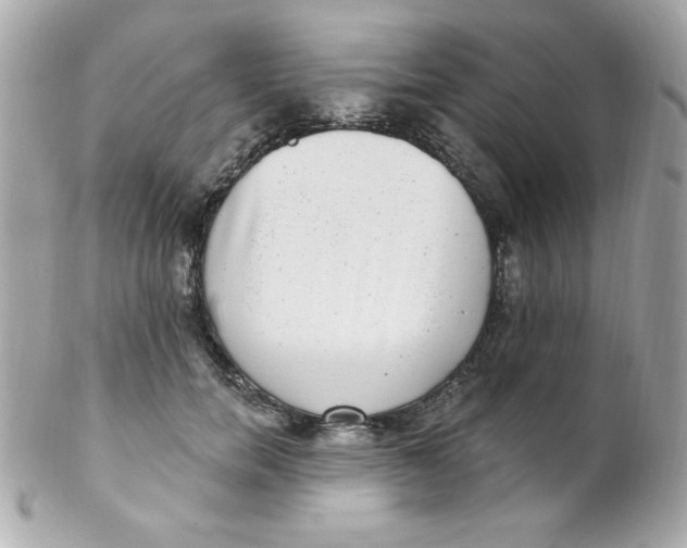 X0000102290750200808151953