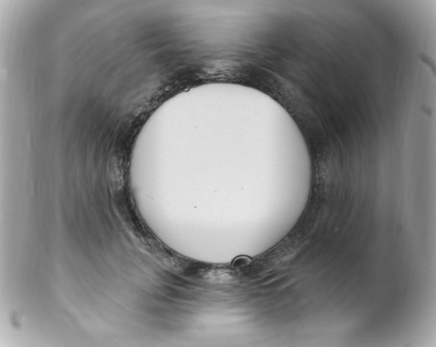 X0000102290751200808151953