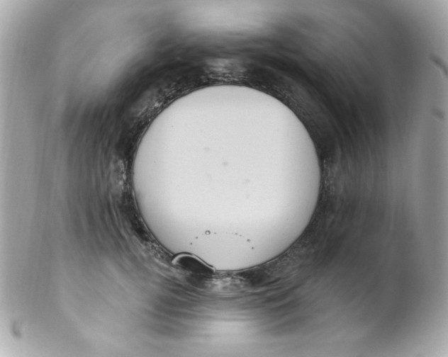 X0000102290752200808151953