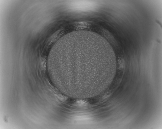 X0000102290753200808151953