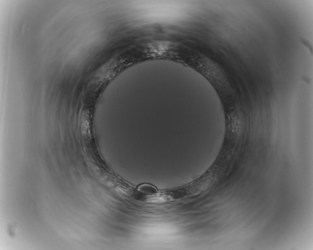 X0000102290754200808151953