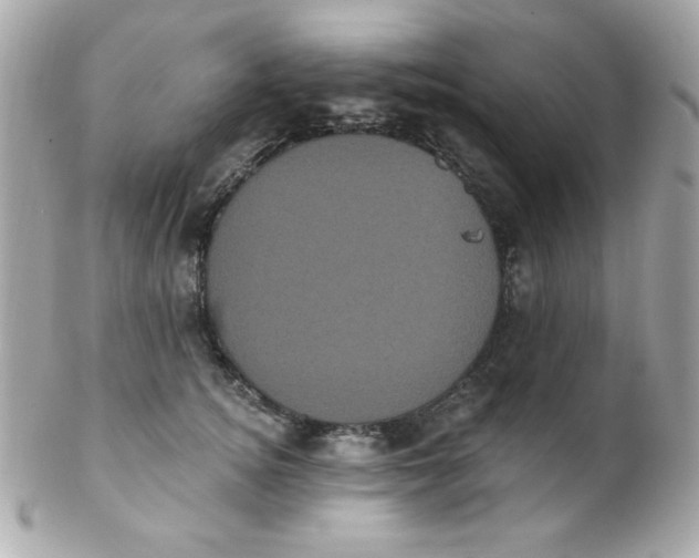 X0000102290756200808151953