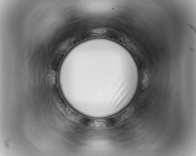 X0000102290758200808151953