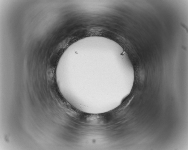 X0000102290759200808151953