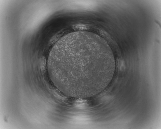 X0000102290760200808151953