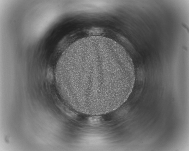 X0000102290761200808151953