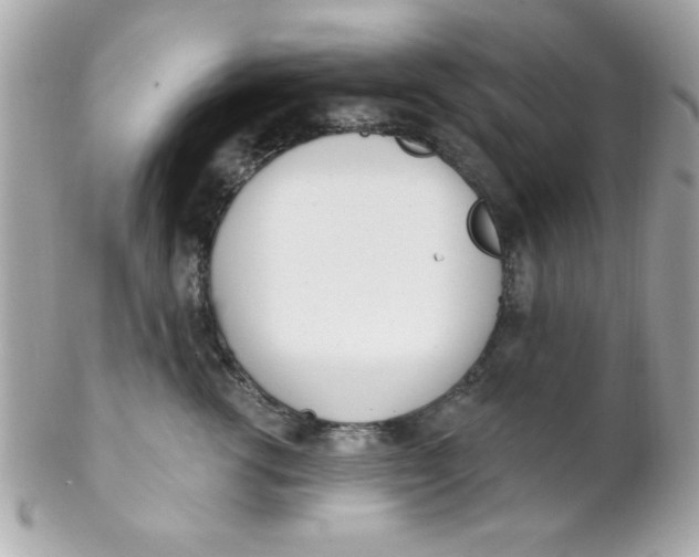 X0000102290762200808151953