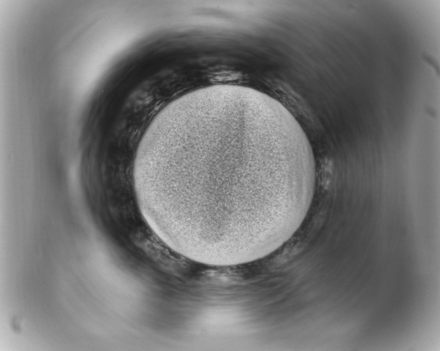 X0000102290763200808151953